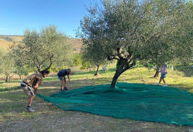 غرفة قياسية مطلّة علي حمام السباحة, Bed And Adventure Tramontana Resort   Camera Vista