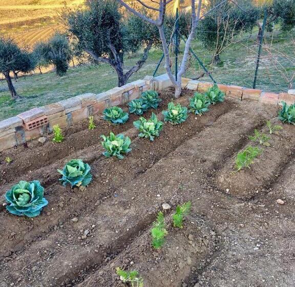 غرفة قياسية مطلّة علي حمام السباحة, Bed And Adventure Tramontana Resort   Camera Vista