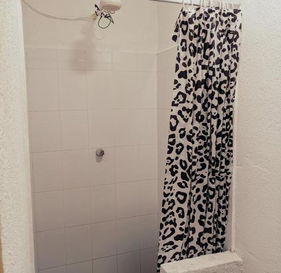 اتاق استاندارد, Caracol