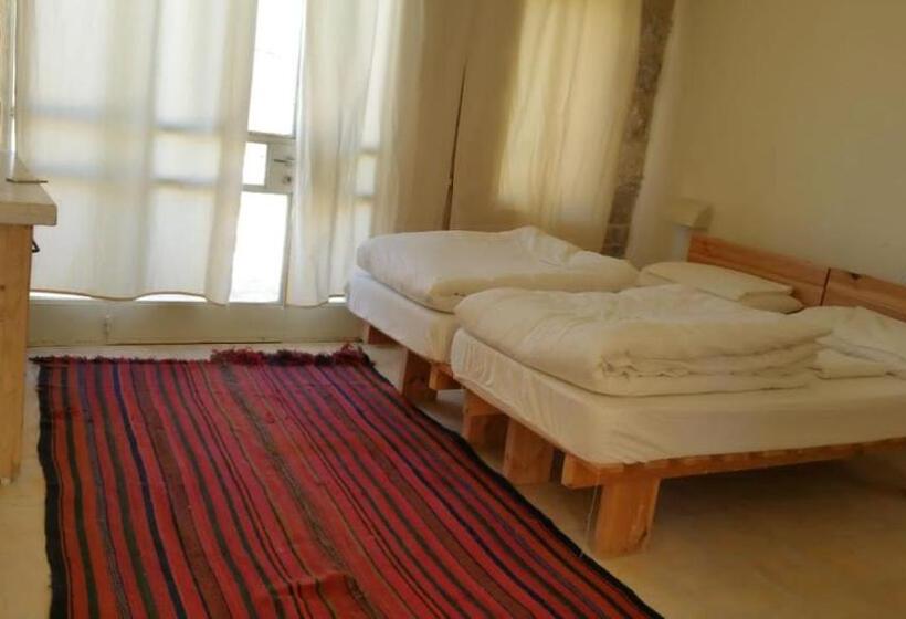 اتاق استاندارد, Fig Tree