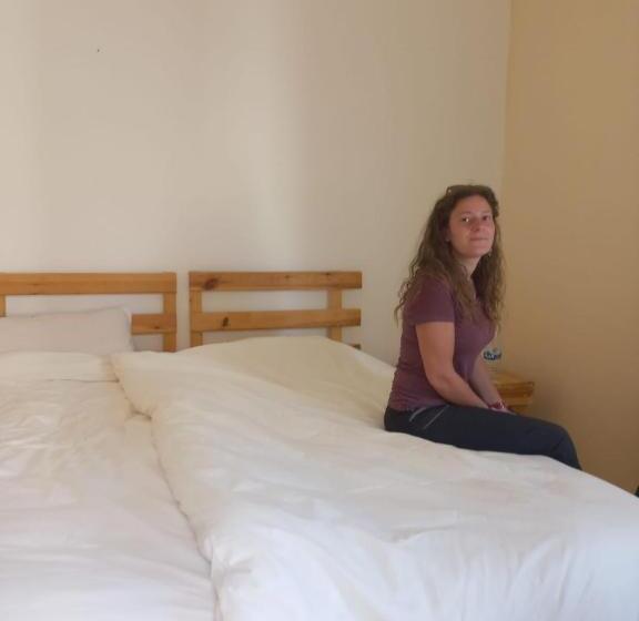 اتاق استاندارد, Fig Tree