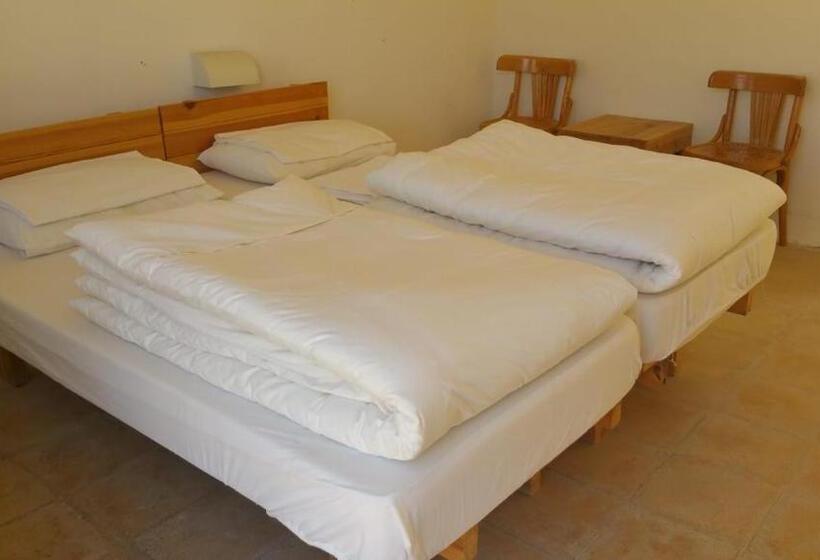 اتاق استاندارد, Fig Tree