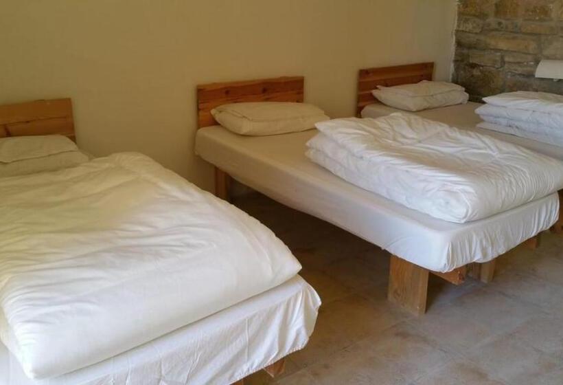 اتاق استاندارد سه نفره, Fig Tree