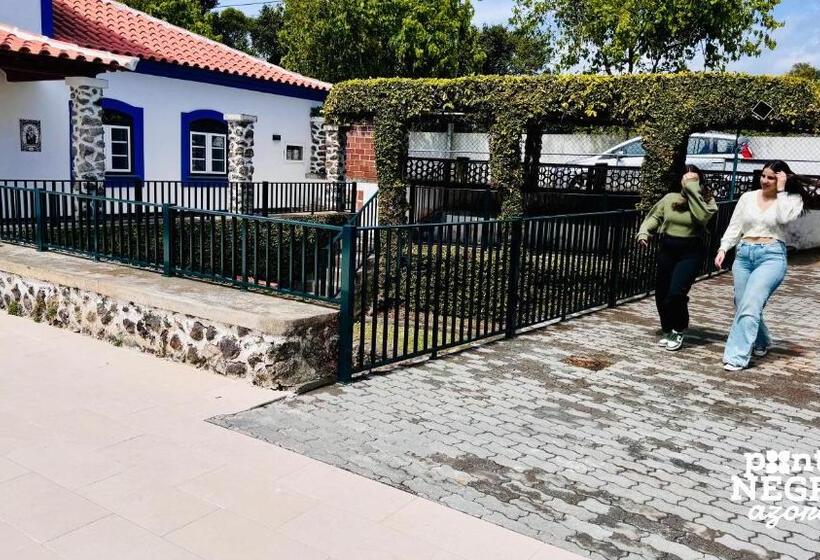 סוויטה, Alojamento Quinta São José By Pontanegraazores