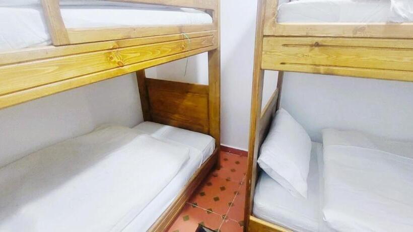 تختخواب در اتاق مشترک, Hostel Banana Dar Baroud