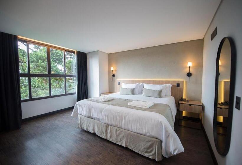 Номер Стандарт, Pinot