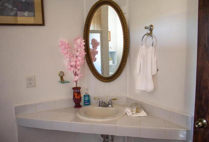 غرفة قياسية, Solache Inn