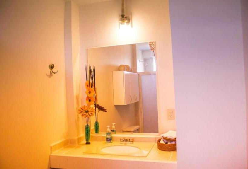 غرفه قياسيه سريرين مزدوجين, Solache Inn