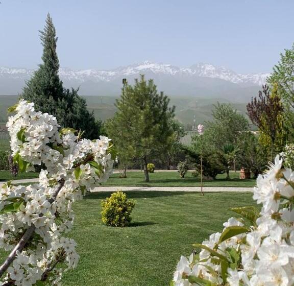 חדר סופריור, Oasis Sun Club