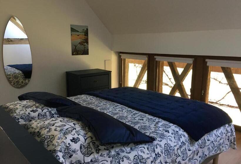 디럭스 룸, La Midad