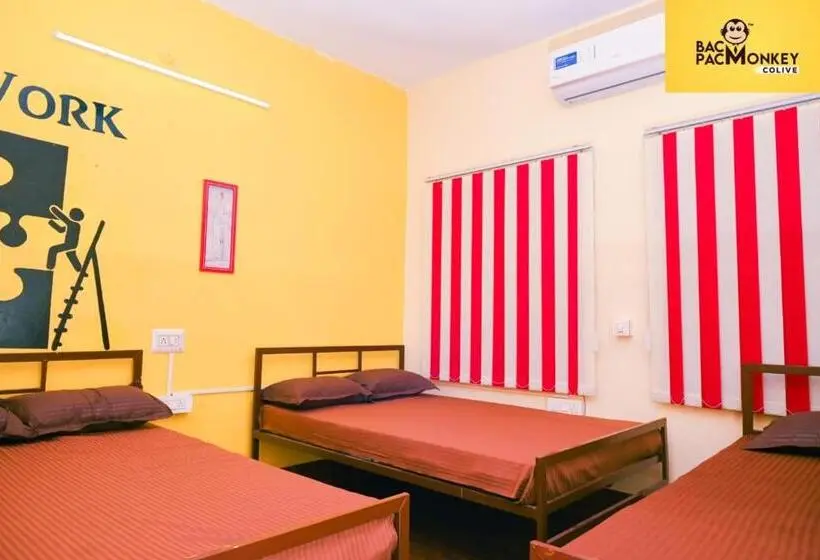 Standard-huone, Wanderwells