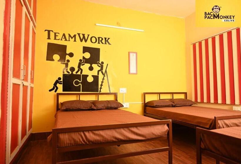 Quarto Estandar, Wanderwells