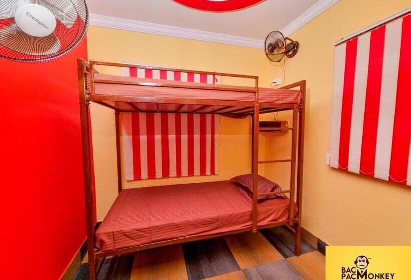 Quarto Estandar, Wanderwells