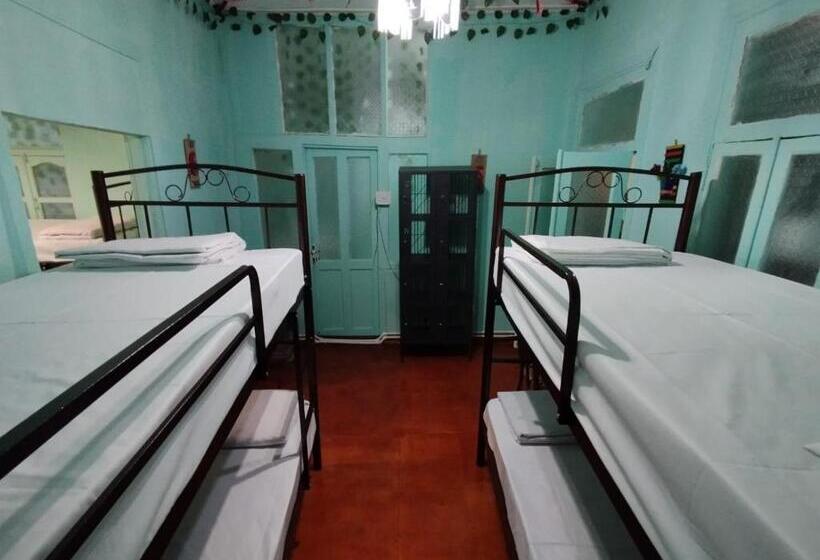 共用房间的床, Sweet Home Hostel