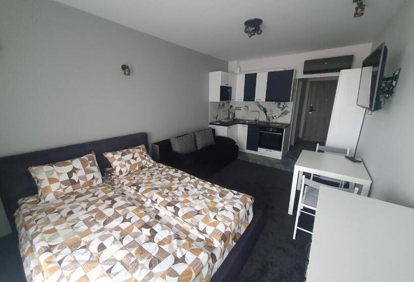 스탠다드 발코니 스튜디오, димоти апартхотел