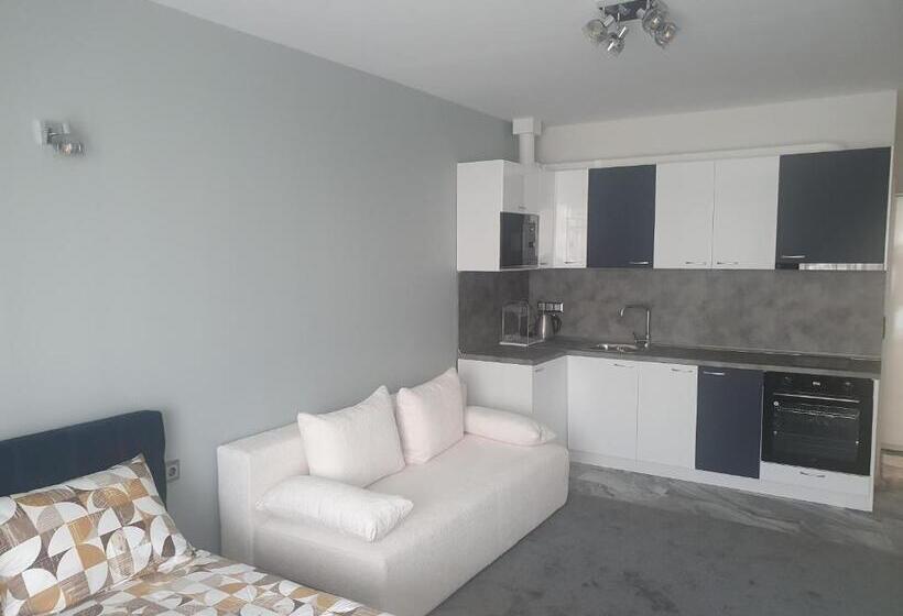 패밀리 스튜디오, димоти апартхотел