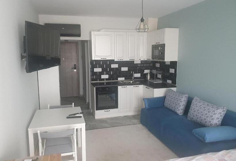 스탠다드 발코니 스튜디오, димоти апартхотел