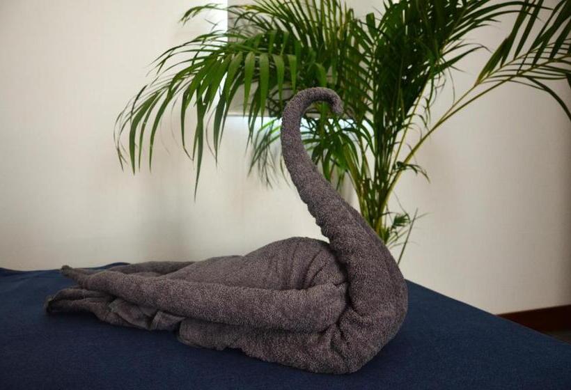 חדר סטנדרט, Cosmos Guesthouse Snack Bar