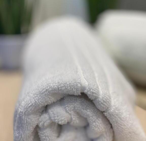 استودیوی استاندارد, Guesthouse Große Linde