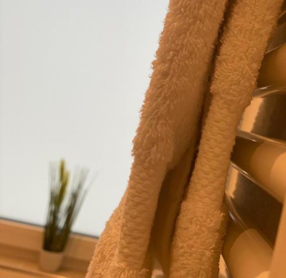 استودیوی استاندارد, Guesthouse Große Linde