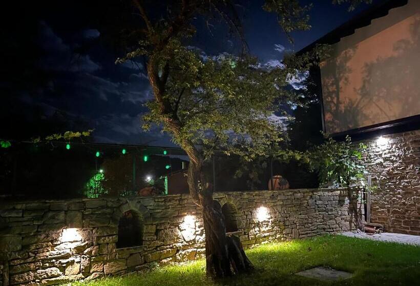 منزل غرفة نوم واحدة, Verta House