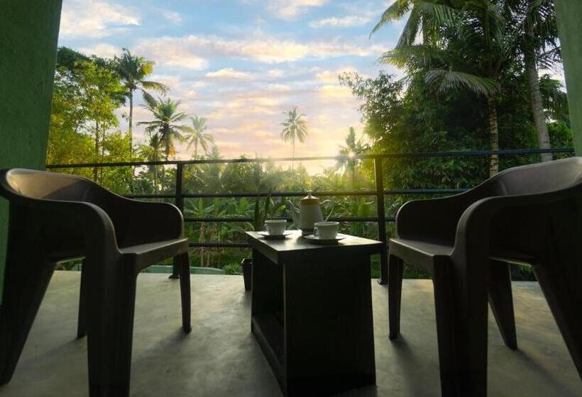 غرفة قياسية, Charlie Breeze