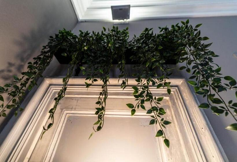 استودیوی لوکس, Molo Di Levante