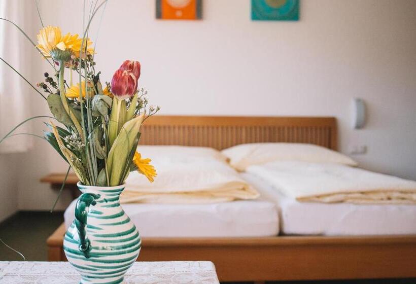 스탠다드 룸 산 전망, Pension Schindlau