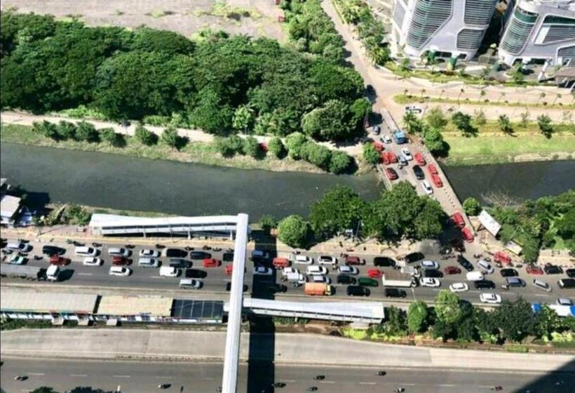 Standard Studio, Pleasant6tifolia