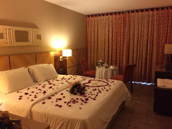 شقة ديلوكس غرفة واحدة, Harmonia Flat S   Aeroporto Gru