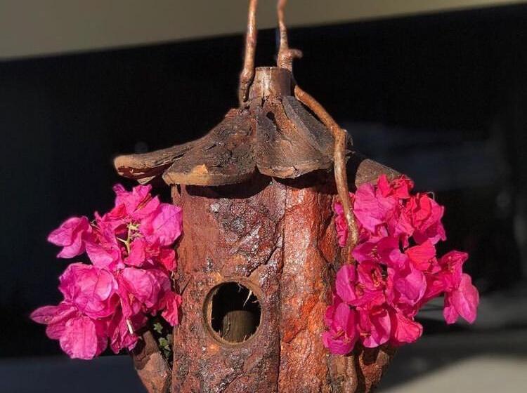 Трехместный Номер Deluxe, Pé De Manga Hospedagem