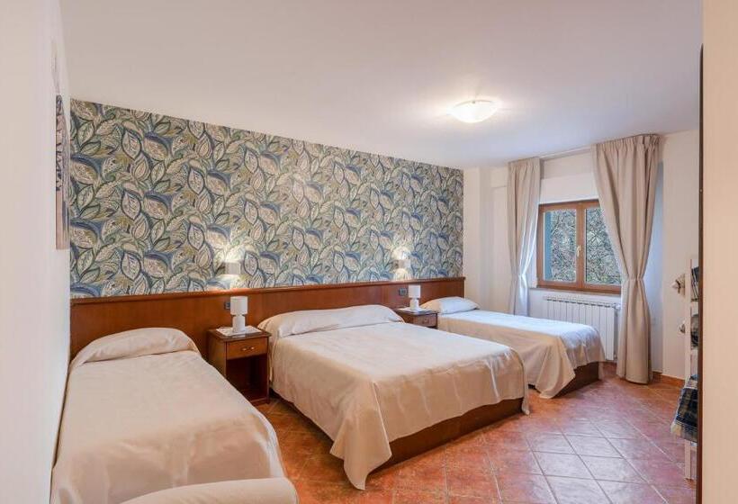 חדר סטנדרט לארבעה, Rasinus