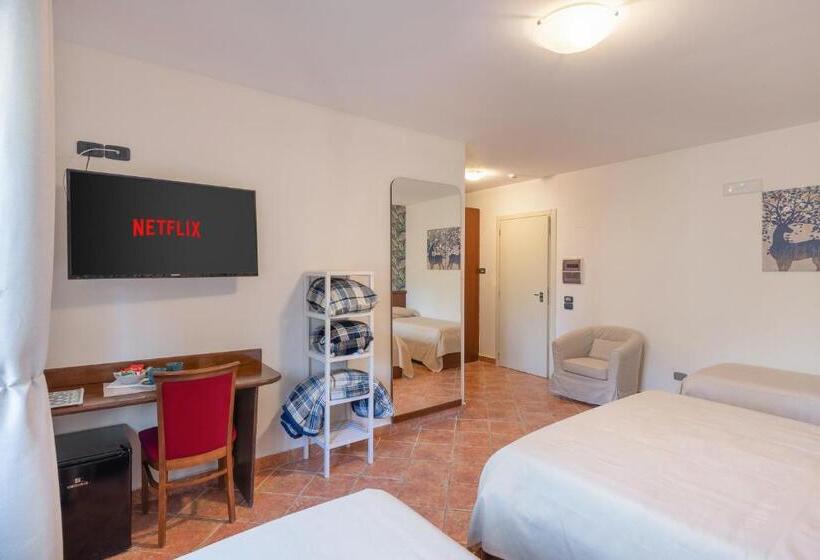 חדר סטנדרט לארבעה, Rasinus