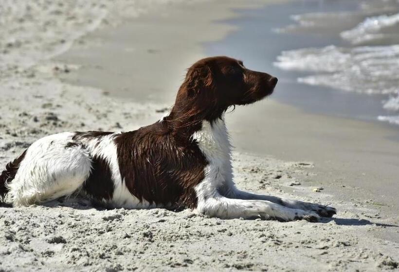 דירת חדר בקומת קרקע, Appartementhaus Möwe