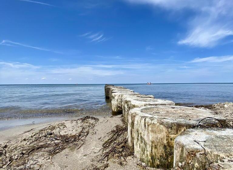 דירת חדר עם טרסה, Appartementhaus Möwe