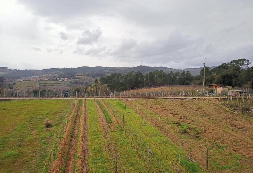 Номер Стандарт Совместная Ванная, Casa Do Avò