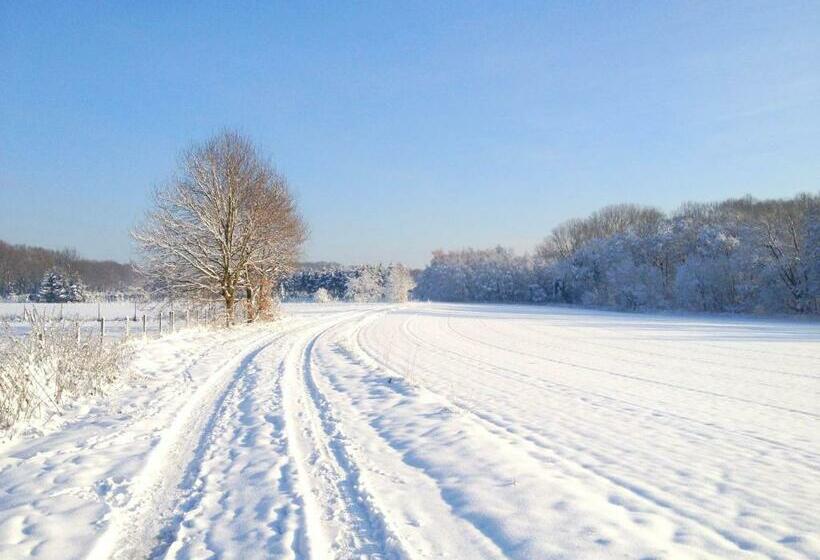 סטודיו סטנדרט עם מרפסת, B&b Roodbeekerhof