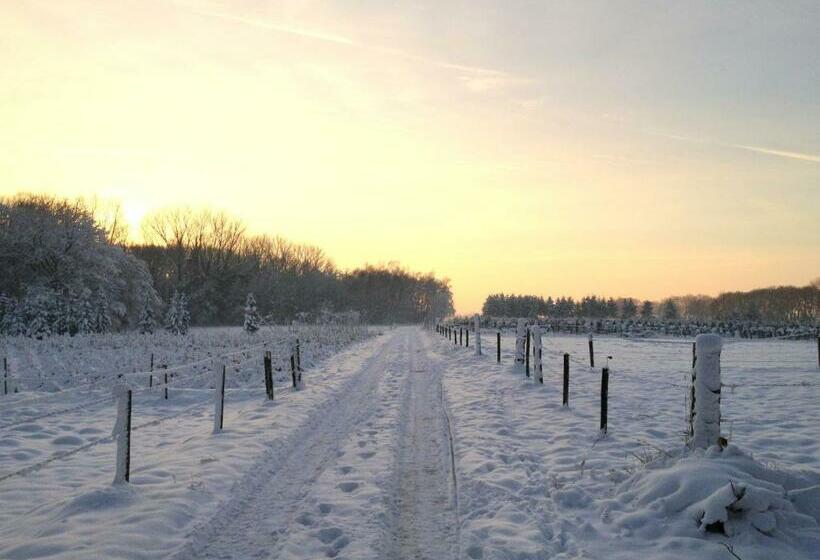 חדר דלוקס עם מרפסת טרסה, B&b Roodbeekerhof