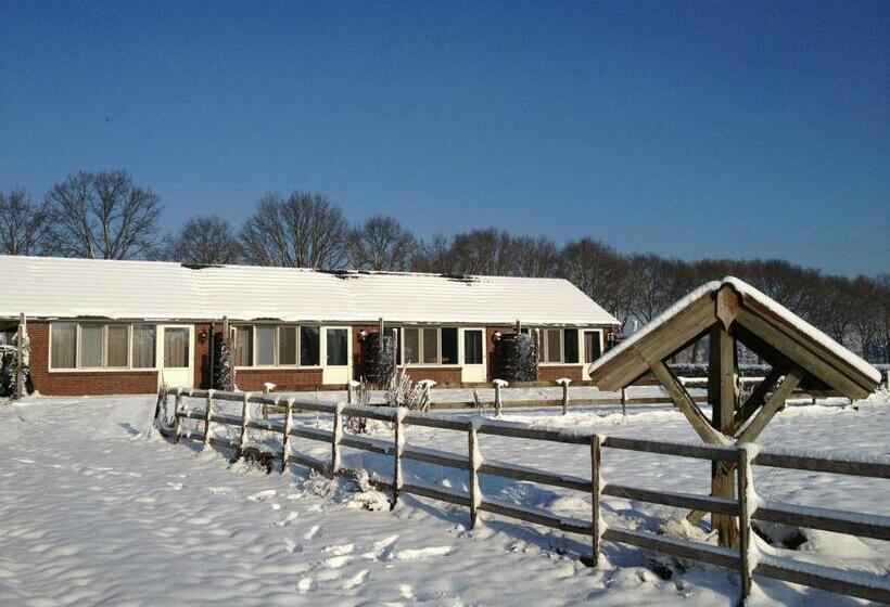 חדר דלוקס עם מרפסת טרסה, B&b Roodbeekerhof