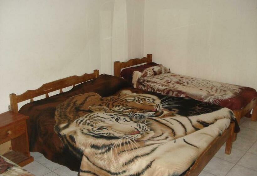 اتاق استاندارد چهار تخته, Danaly