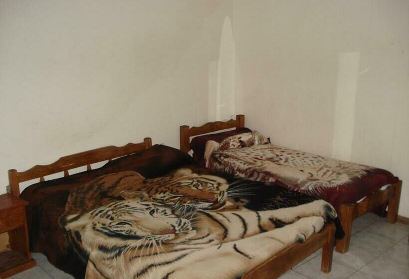 اتاق استاندارد سه نفره, Danaly