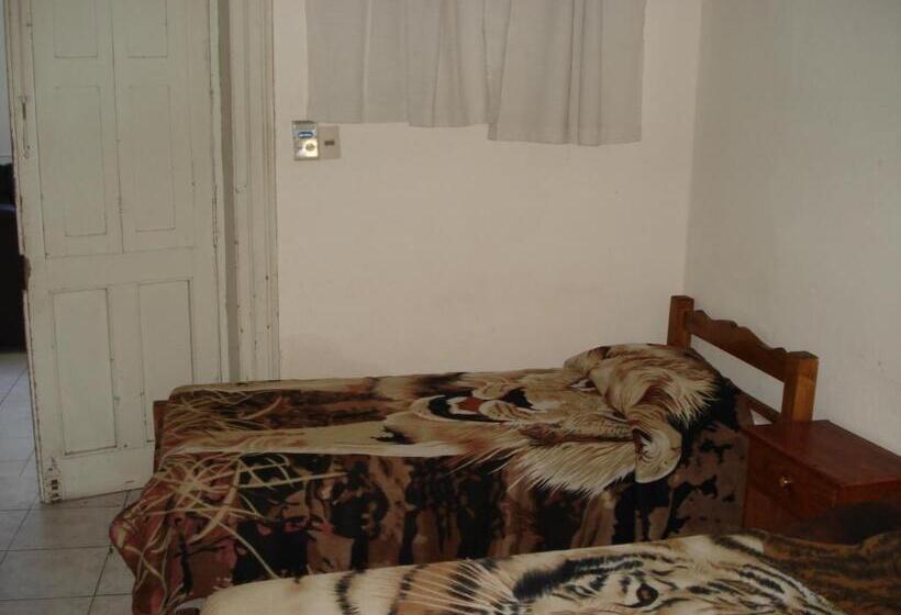 اتاق استاندارد چهار تخته, Danaly