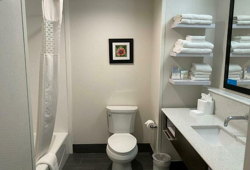 غرفة إدارية سرير كينج, Hampton Inn El Reno