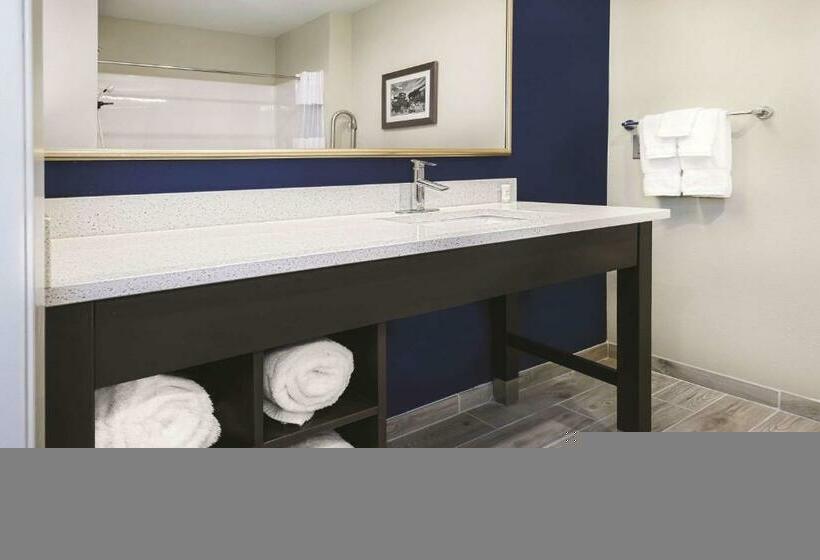 带大床的标准间, La Quinta By Wyndham Odessa North Sienna Tower