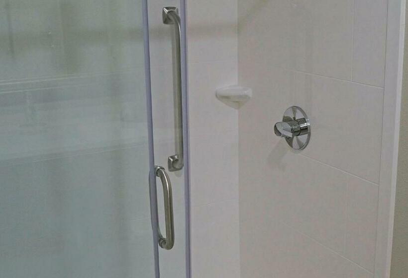 带大床的标准间, La Quinta By Wyndham Odessa North Sienna Tower