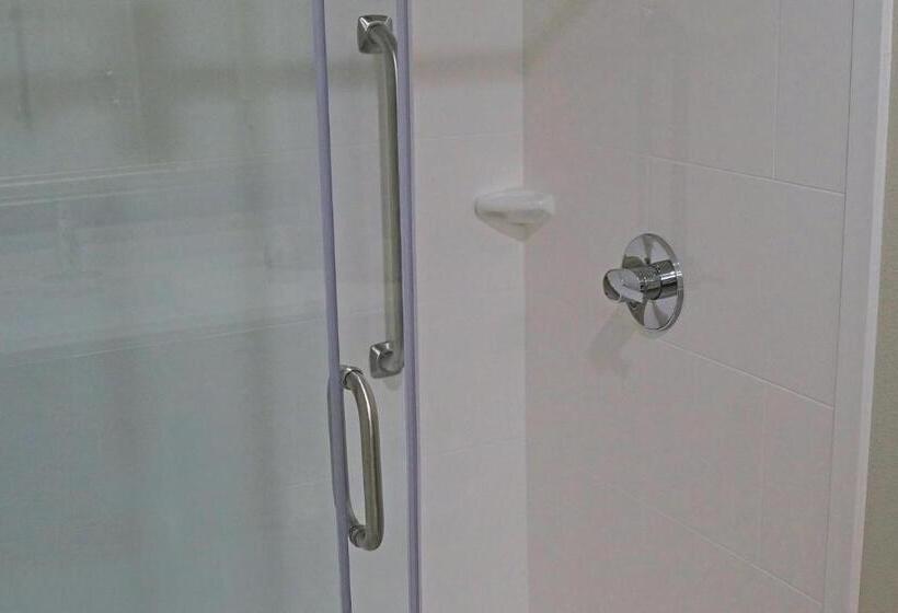 适合残疾人使用的标准间, La Quinta By Wyndham Odessa North Sienna Tower