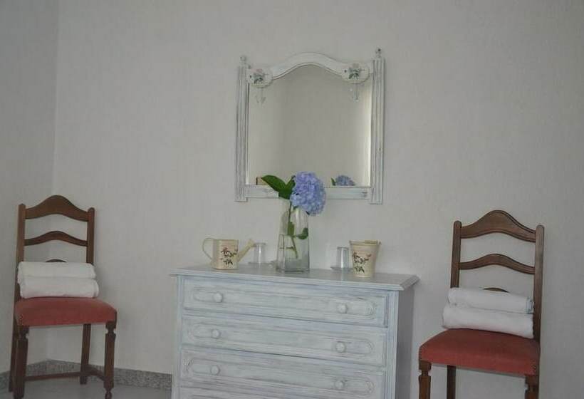 Номер Стандарт, Palacios