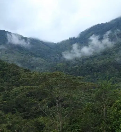 スタンダード４人部屋, Aracari Ecolodge