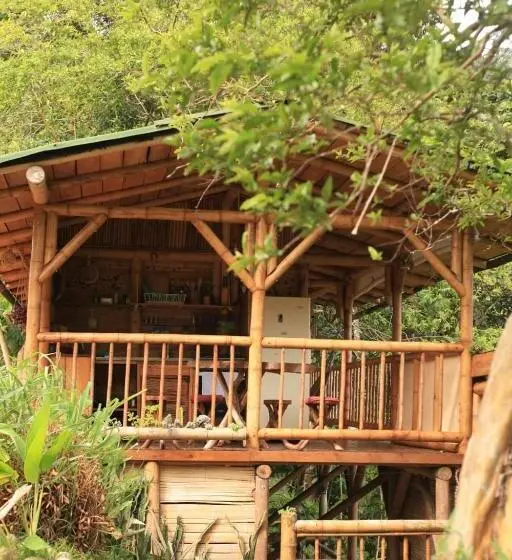 スタンダード４人部屋, Aracari Ecolodge