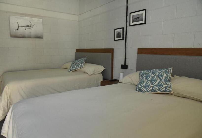 Номер Deluxe, Sealion Dive Center